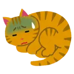 突然うちの猫がおかしくなったんだが