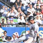 ヤクルトとロッテの暗黒3連戦ｗｗｗｗｗｗ