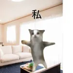 【悲報】『猫ミーム』とかいう覇権ブーム、なぜかガチで廃れてしまうwwwwwwwwwww