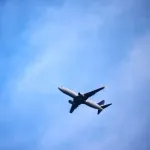日本の労働に耐えられないから国外逃亡するわ