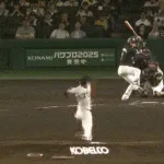 ６連敗中の阪神、エース才木が７回に打たれ逆転を許す