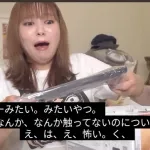 【悲報】任天堂、Switch2をスリープ状態で配送か
