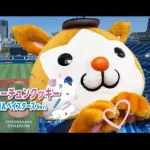 「恋するフォーチュンクッキー」ベイスターズVer.動画が公開　AKB48来場を記念して