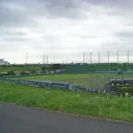 阪神「7連敗しちゃったww」 ヤクルト2軍「…」