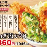 【悲報】かつや、めちゃくちゃさっぱりしてそうな丼を発売へ