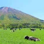 鳥取県出身の奴ってあったことないよな・・・