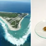【朗報】日本、レアアース世界3位の資源大国へwwwwwww