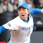 ハムって若いチームだけど宮西中島と投手と野手の生え抜きベテランが活躍してるのマジででかいな