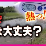 【悲報】米農家「6月から暑すぎて稲が死んでるわ」