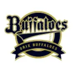 【試合実況】ヤクルトvsオリックス 6/22/13:30【交流戦】