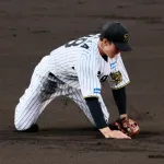 【欠陥指標】昨日2失策の小幡竜平のUZRが何故か上がる