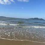 横浜民わい、福岡に住みたい