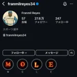 日ハムレイエスさん、インスタの投稿全削除wwww