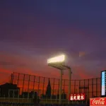 立憲民主「息子とヤクルトの試合見ようとしたら1席5800円。高すぎて見るの辞めた。せめて2000円で」