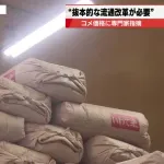 【悲報】米の卸売業者「助けて。損しそうなの😭」