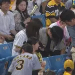 【怖すぎ】神宮、折れたバットが内野席に飛び込む…