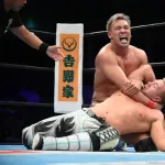 【急募】プロレスってどういう目線で見ればいいの？ｗｗｗｗｗｗｗｗｗｗｗｗｗｗｗｗ