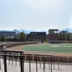 楽しみが寝ることと馬券買うこと食うことしかない