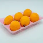 ビワとかいう高級品