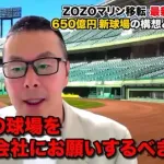 ロッテ650億円新球場の建設に「日本の設計会社に丸投げはやめた方が」「ロッテはエンタメ施設をつくるノウハウは持っている」