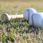 NPB歴代の同じ選手9人集めてチーム作ったら一番強いのってやっぱり大谷翔平？