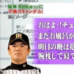 【週刊新潮】あの有名野球監督の不倫メールが流出！！！！