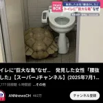 【悲報】トイレに巨大な亀　横浜