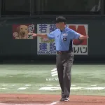 え