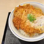 【悲報】カツ丼サクサク派、しっとり派の住居区に攻撃開始wwwwwwww