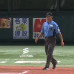 審判、サヨナラホームインの判定結果をねっっちょり溜めて発表ｗｗｗｗ