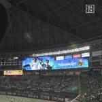 【悲報】ハムさんのここ5試合の得点、2点、2点、0点、1点、1点