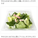 【朗報】セブンイレブン、ドレッシング入りだったサラダがドレッシング無しになって新登場！