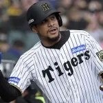 ヘルナンデス、最低限の犠牲フライで阪神同点！！！