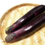 なす🍆が2本もあるんやがなんか良いレシピないか？