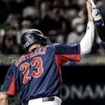 WBCに招集されそうな阪神の選手 → （確定）テル、石井（微妙）中野、森下