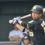 阪神、島田海吏一軍合流後は負けなしwwwwwwwww