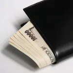 【謎】30代40代独身の金の使い道、誰もわからないｗｗｗｗｗｗｗｗｗｗｗｗｗｗｗｗ