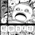 麦わらの一味　最後の仲間　登場か？