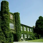 野獣先輩ってどこの大学通ってたんやろか
