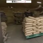 【悲報】米の卸売業者「助けて。損しそうなの」←これｗｗｗｗｗｗｗ