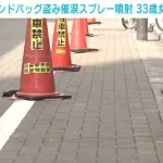 万引き女「違うの！店員さんが追いかけてきたから催涙スプレーをかけただけなの！」