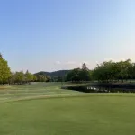 多分一生面白さわからんやろなってスポーツ