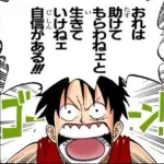 【悲報】麦わらのルフィが強くなれた理由、運が良かっただけ