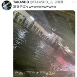 「渋谷やばっwwwwwwww」パシャ