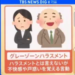 最強のハラスメント「グレーゾーンハラスメント」爆誕wwwwww