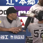 リチャード、ベンチの中でフルスイング! あぶねえよwwww