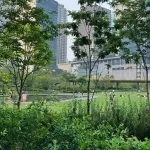 【画像】大阪の公園、外国すぎて腰抜けそう