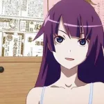 戦場ヶ原ってあららぎと付き合ってからつまらない女になったよな？