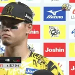 佐藤輝明(神).288 24本 62点 OPS.949 8盗塁