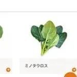 りんご農家「新品種名は…つがる、むつ、かな」いちご農家「あまおうで」ほうれん草農家「はぁ…」